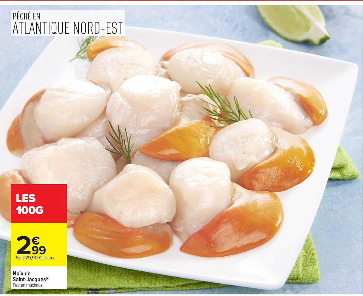 Noix de Saint-Jacques
