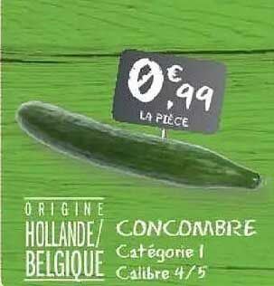 ORIGINE HOLLANDE/BELGIQUE CONCOMBRE catégorie 1 calibre 14/17