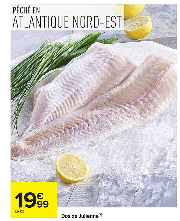 PÊCHE EN ATLANTIQUE NORD-EST