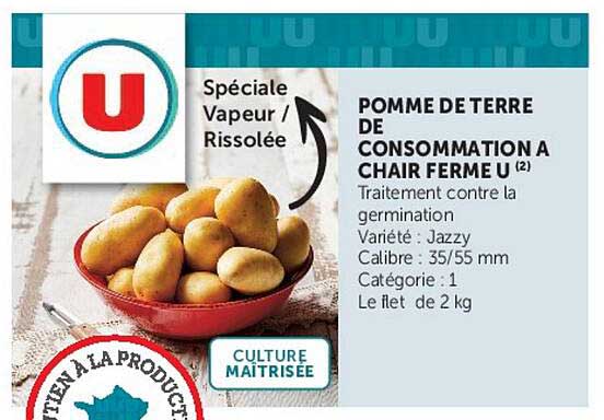 POMME DE TERRE DE CONSOMMATION A CHAIR FERME U (2)