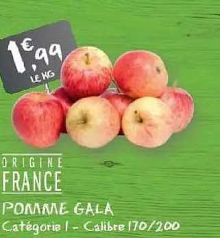 POMME GALA