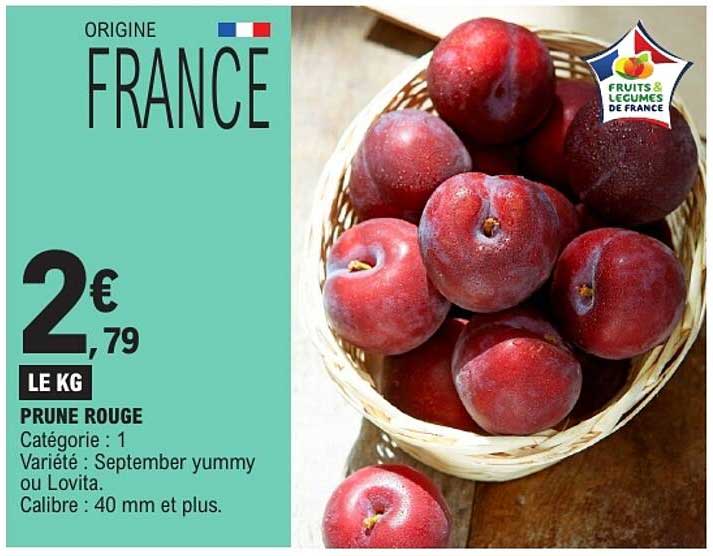 PRUNE ROUGE