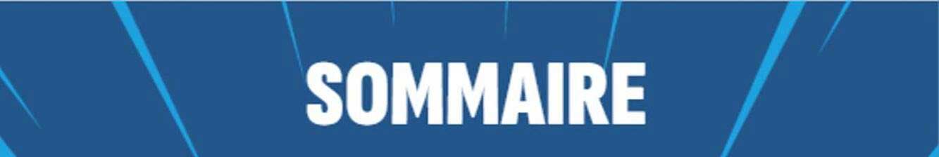 SOMMAIRE