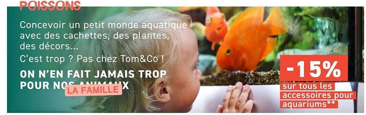 -15% sur tous les accessoires pour aquariums**