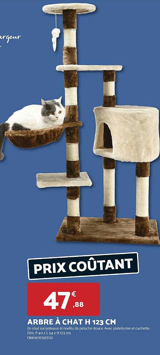 ARBRE À CHAT H 123 CM