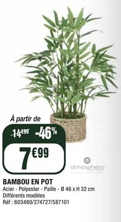 BAMBOU EN POT