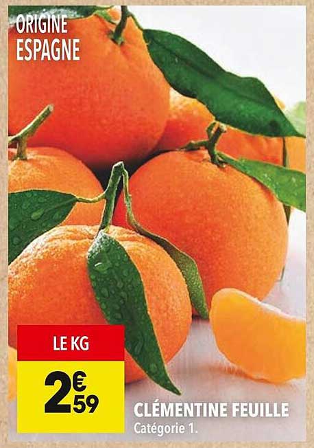 CLÉMENTINE FEUILLE