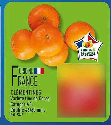 Clémentines Varieté fine de Corse