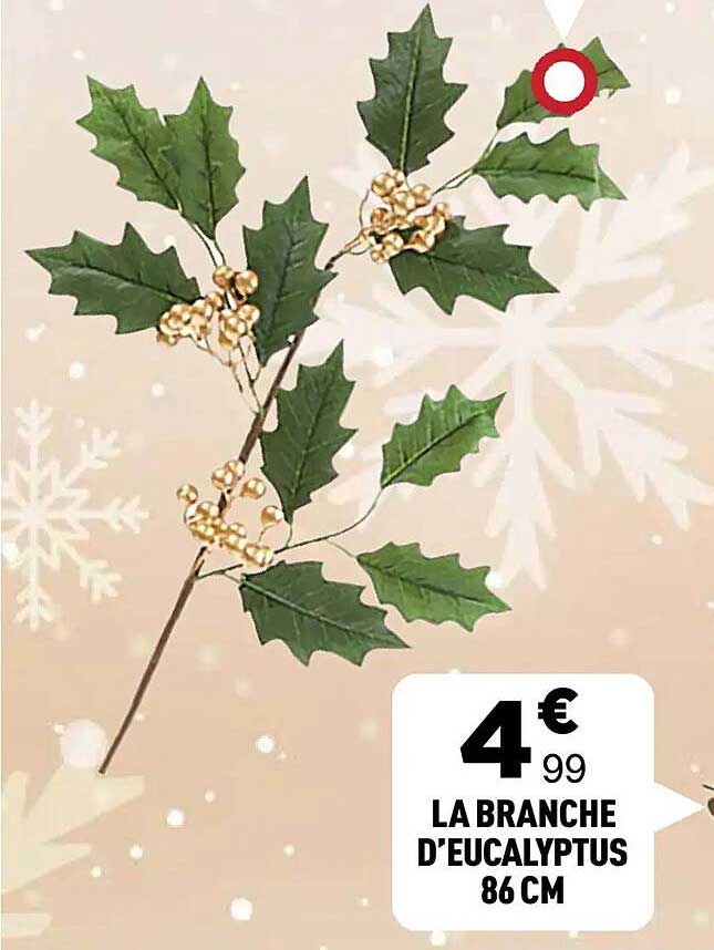 LA BRANCHE D'EUCALYPTUS 86 CM