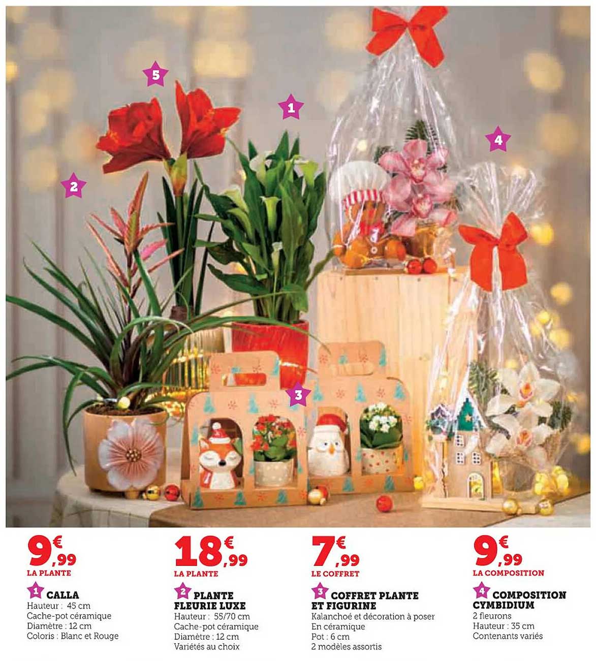 LA PLANTE FLEURIE LUXE