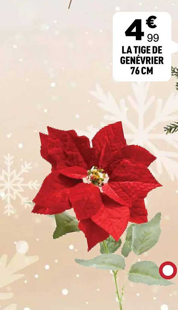 LA TIGE DE GENEVRIER 76 CM