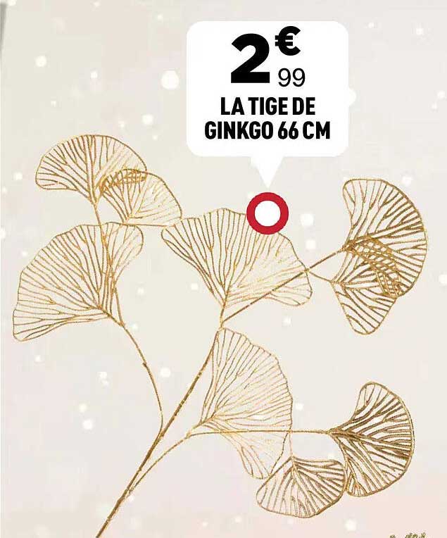 LA TIGÉ DE GINKGO 66 CM