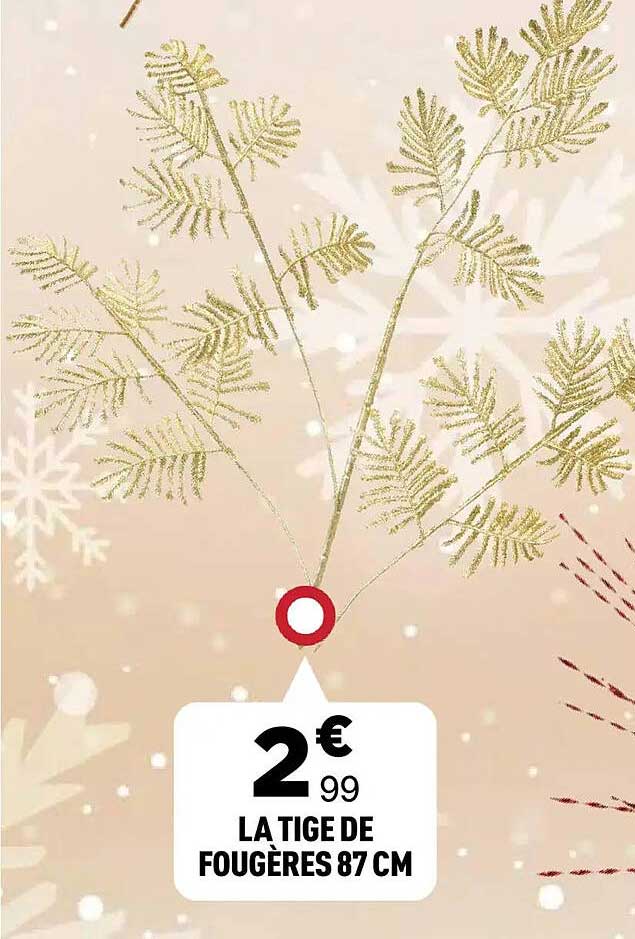 LA TIGES DE FOUGÈRES 87 CM