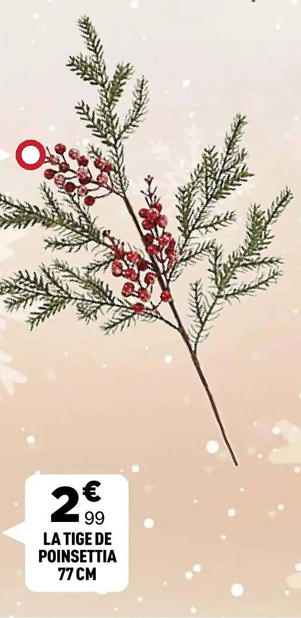 LA TIGES DE POINSETTIA 77 CM