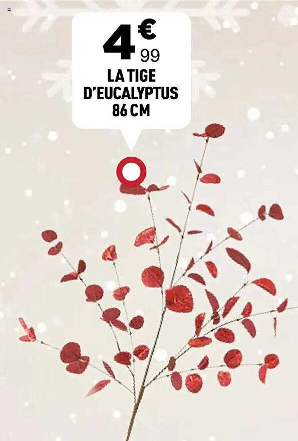 LA TIGES D’EUCALYPTUS 86 CM