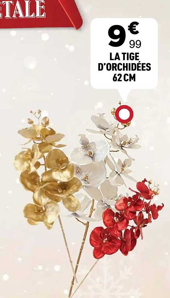 LA TIGES D'ORCHIDÉES 62 CM