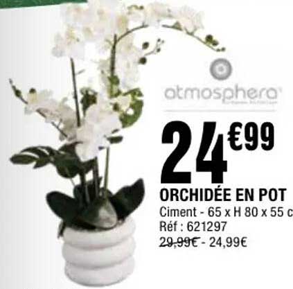 ORCHIDÉE EN POT
