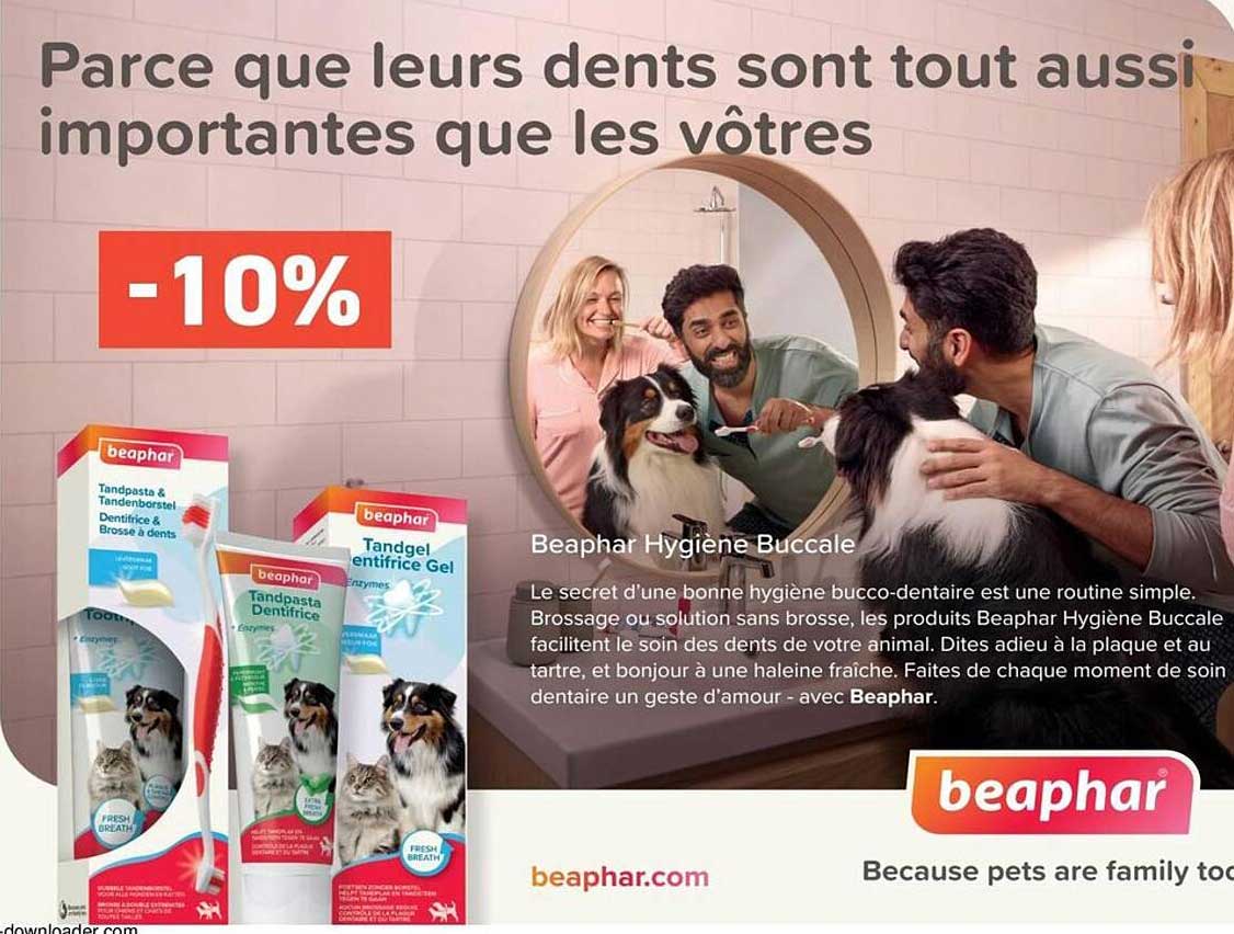 Parce que leurs dents sont tout aussi importantes que les vôtres