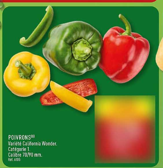 POIVRONS® - Variété California Wonder