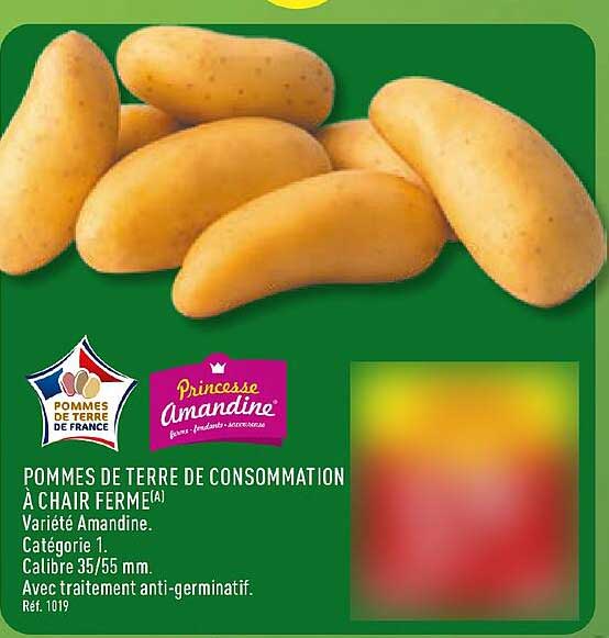Pommes de terre de consommation à chair ferme