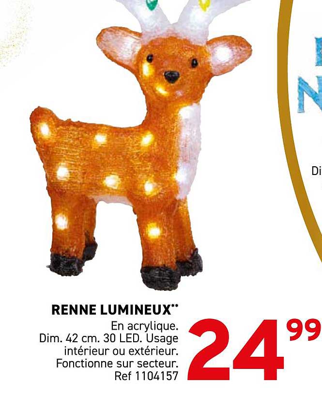 RENNE LUMINEUX**