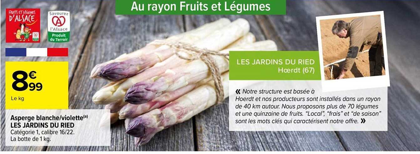 Asperge blanche/violette(a) LES JARDINS DU RIED