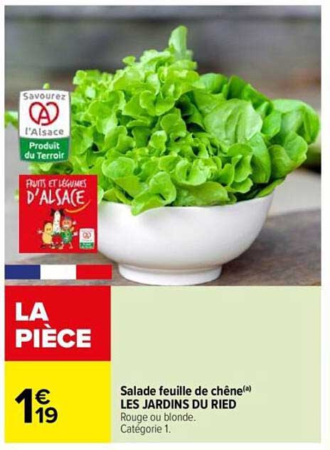 Salade feuille de chêne(a) LES JARDINS DU RIED
