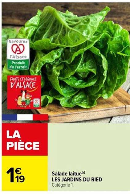 Salade laitue(a) LES JARDINS DU RIED