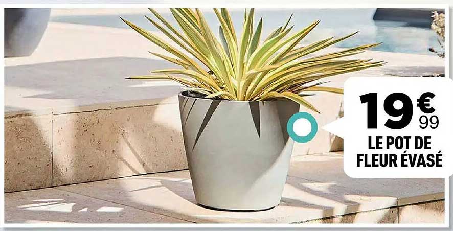 Pot De Fleur Centrakor