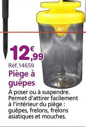 Piège à guêpes
