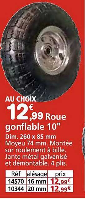 Roue gonflable 10"