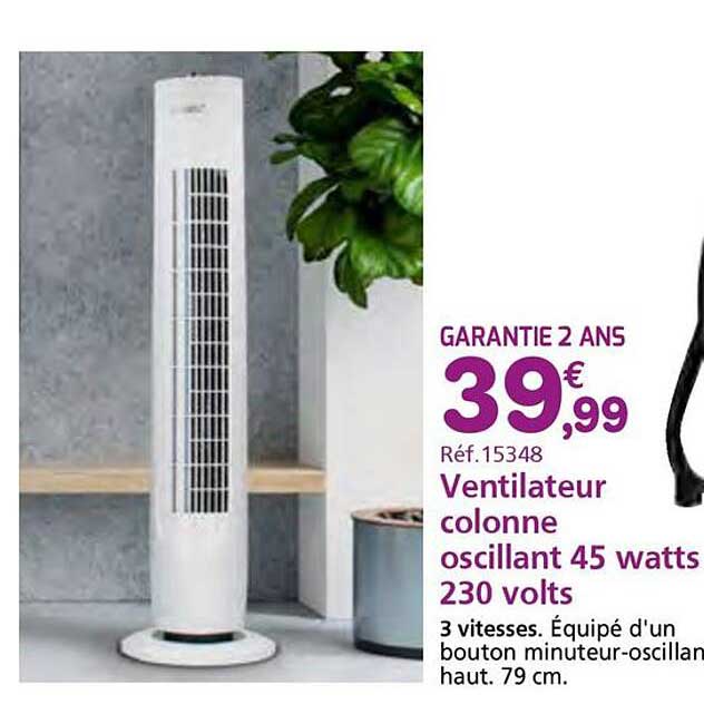 Ventilateur colonne oscillant 45 watts 230 volts