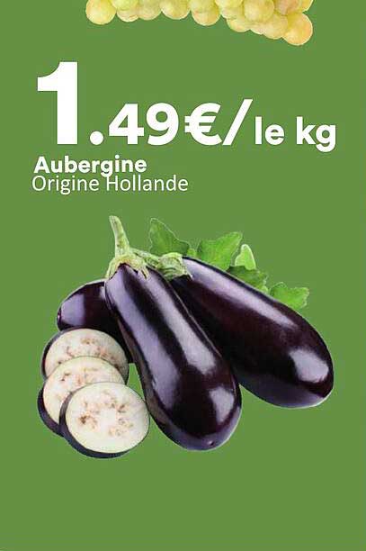 Aubergine Origine Hollande