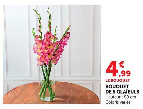 BOUQUET DE 5 GLAÏEULS