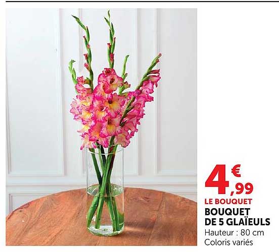 BOUQUET DE 5 GLAÏEULS
