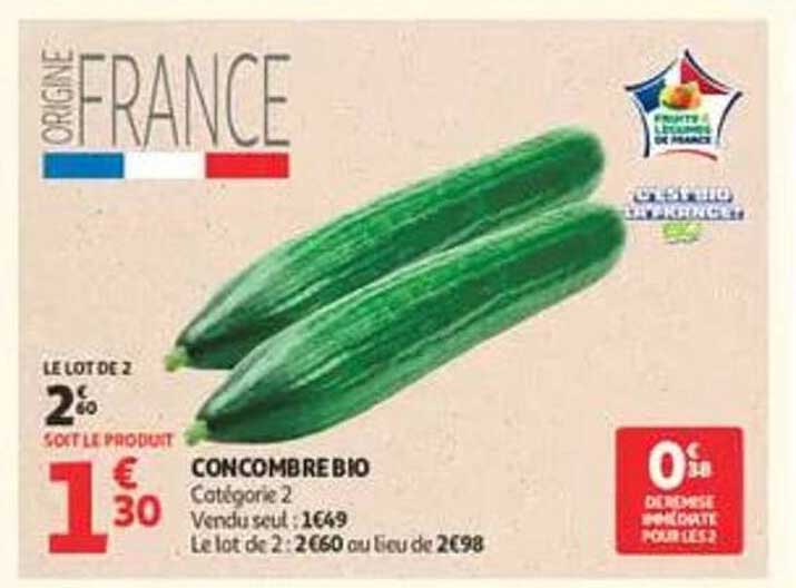 CONCOMBRE BIO