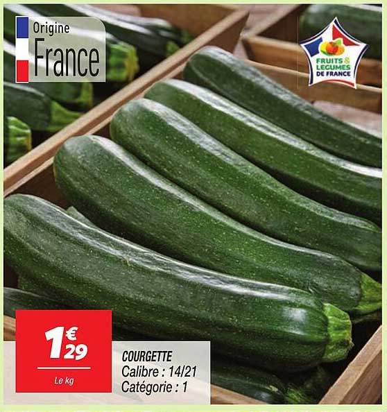 COURGETTE Calibre : 14/21 Catégorie : 1
