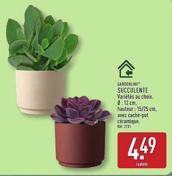 GARDENLINE® SUCCULENTE Variétés au choix.
