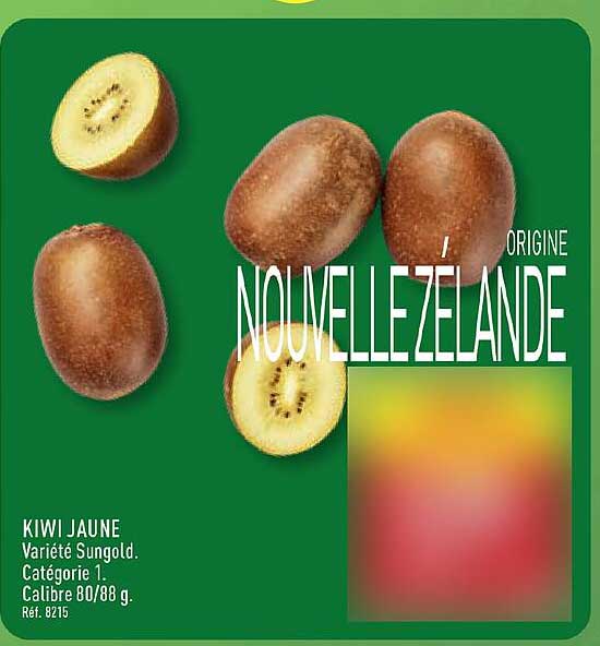 KIWI JAUNE Nouvelle-Zélande