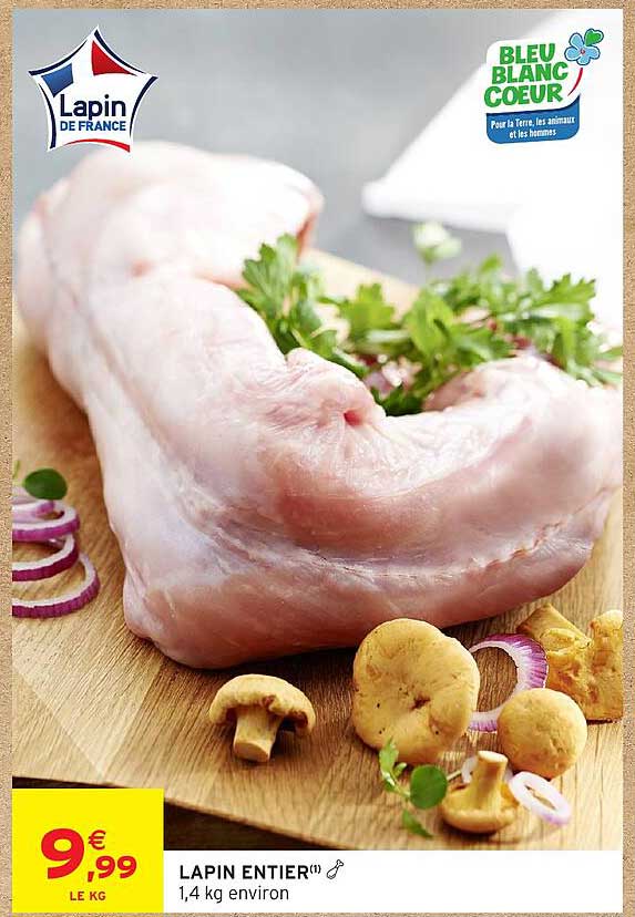 LAPIN ENTIER(1)