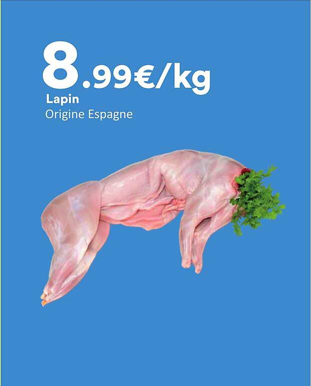 Lapin Origine Espagne