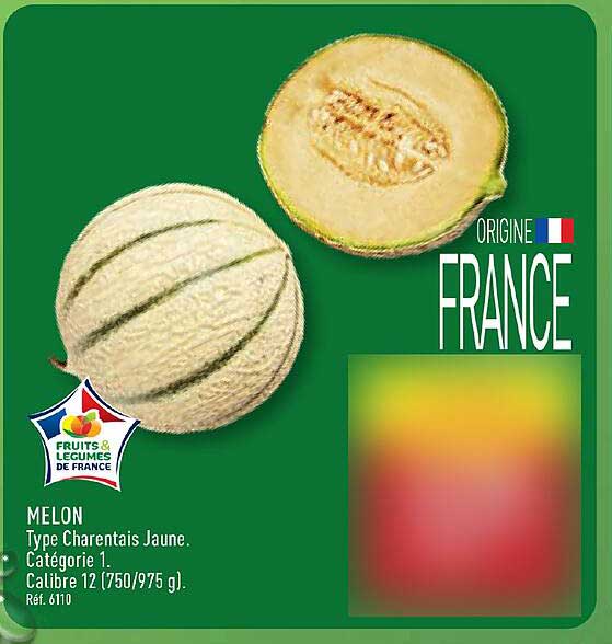 MELON Type Charentais Jaune. Catégorie 1. Calibre 12 (750/975 g). Réf. 6110