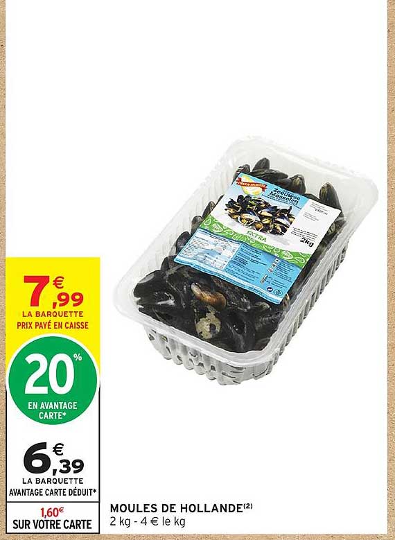 MOULES DE HOLLANDE