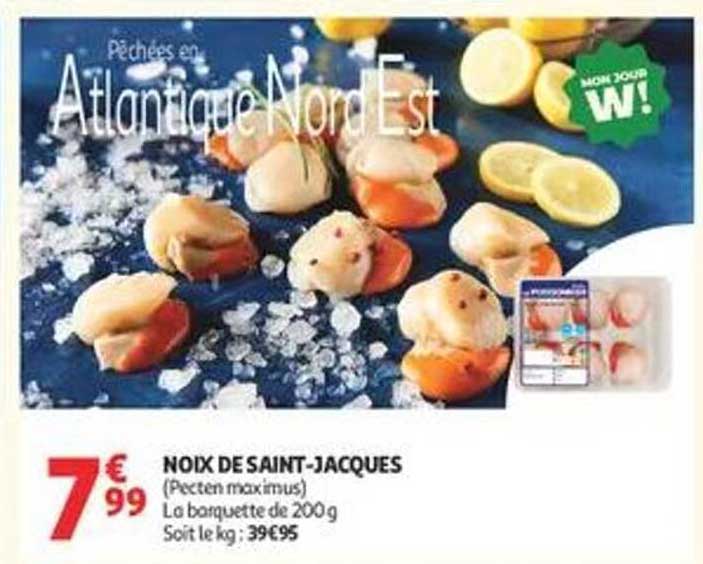 NOIX DE SAINT-JACQUES