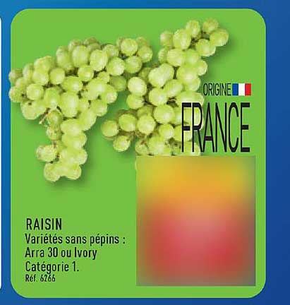 RAISIN Variétés sans pépins : Arra 30 ou Ivory Catégorie 1. Réf. 6266