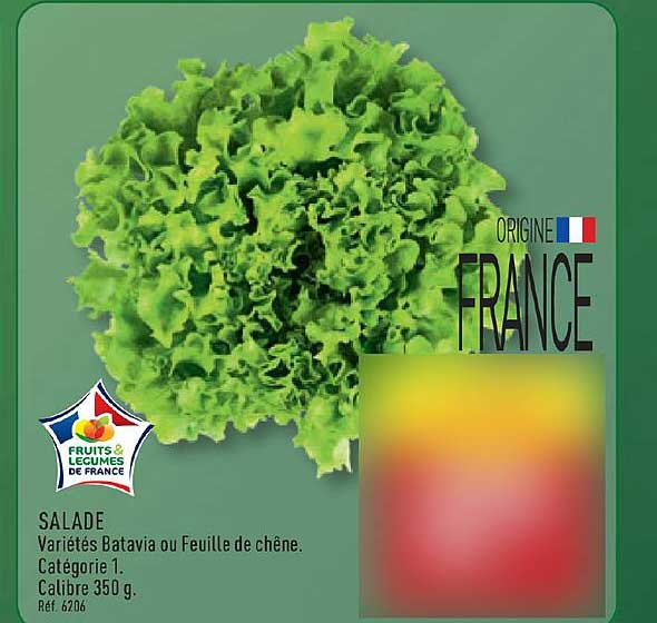 SALADE Variétés Batavia ou Feuille de chêne. Catégorie 1. Calibre 350 g. Ref. 6206