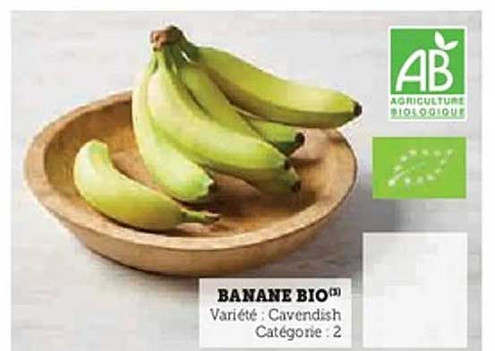BANANE BIO