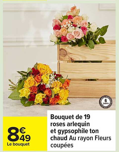 Bouquet de 19 roses arlequin et gypsophile ton chaud Au rayon Fleurs coupées