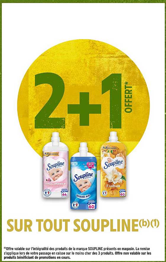2+1 OFFERT*