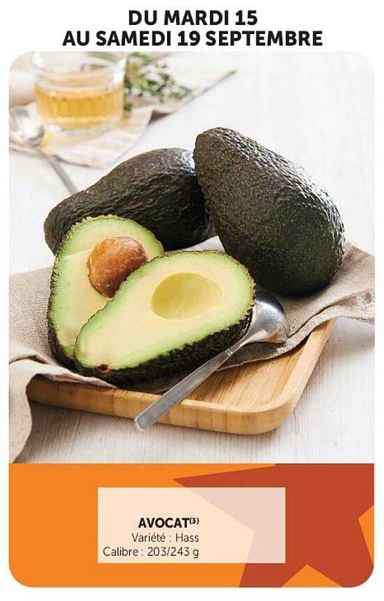 AVOCAT(3)